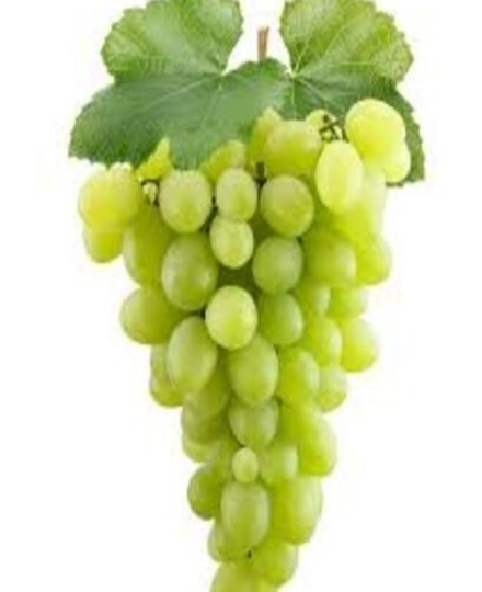 Grapes